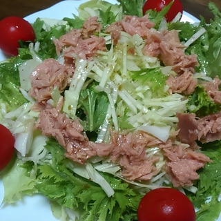 ツナ・わさび菜・レタス・キャベツ・トマトのサラダ